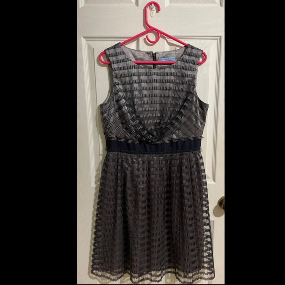 antonio melani gray fit and flare dress with gray short sleeve sweater